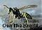 Osa The Knight