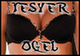 Ogel's Avatar