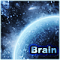 Brain :)