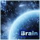 Brain :)