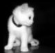 Top Secret's Avatar