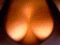 Nolia