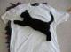 Puma xD's Avatar