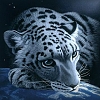 Don Cinas's Avatar