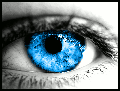 Knauer's Avatar