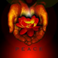 peace's Avatar