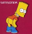 Simsonek's Avatar