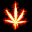 ..:KoMBoj:..'s Avatar