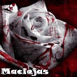 Maciejas