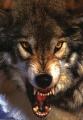 kwb2010's Avatar