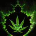 Przemusiek's Avatar