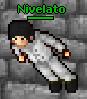 Nive's Avatar