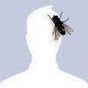`Blob's Avatar
