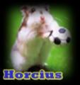 Horcius's Avatar