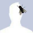 Helpfull's Avatar