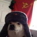 Leh's Avatar