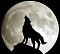 Alpha Athypical Wolf
