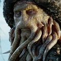 Squid